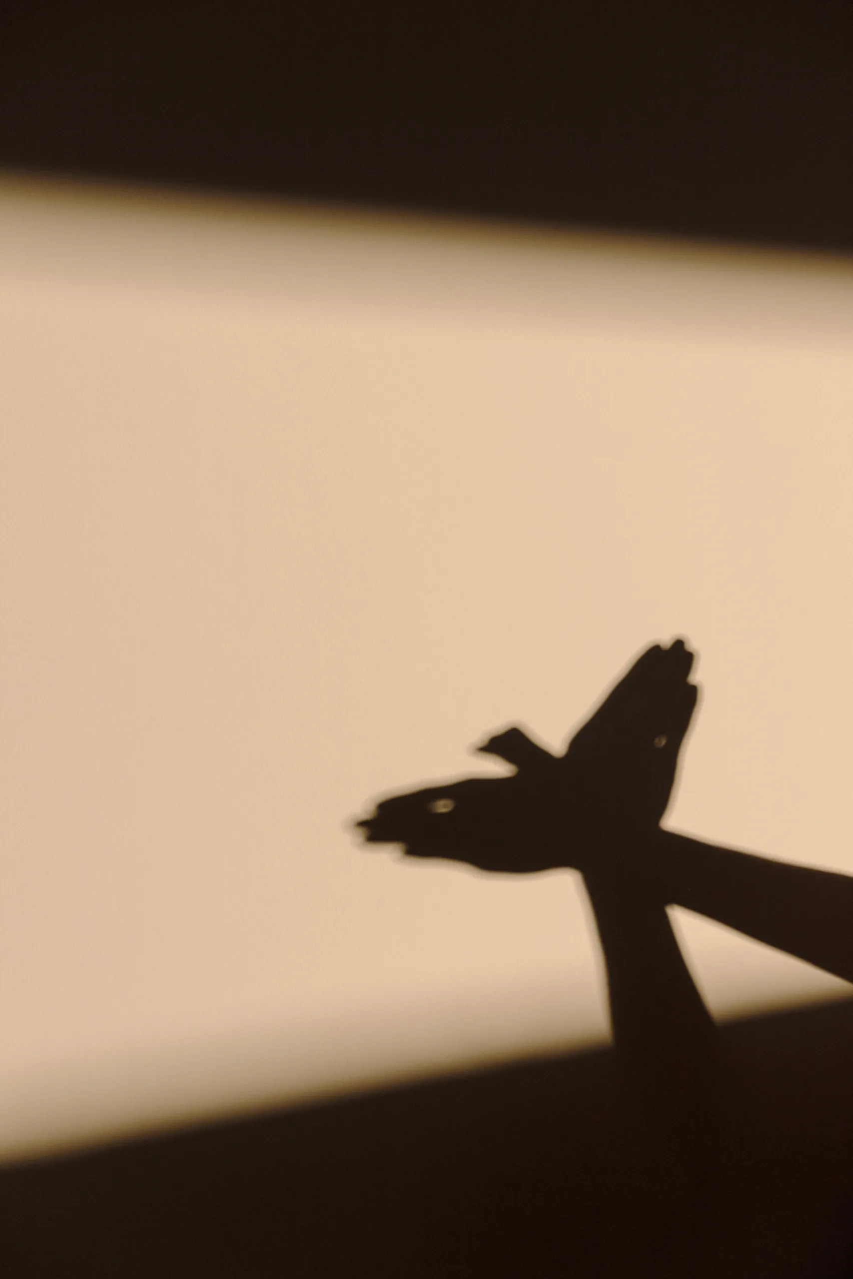 Karagiozis – najbardziej znana postać greckiego teatru cieni